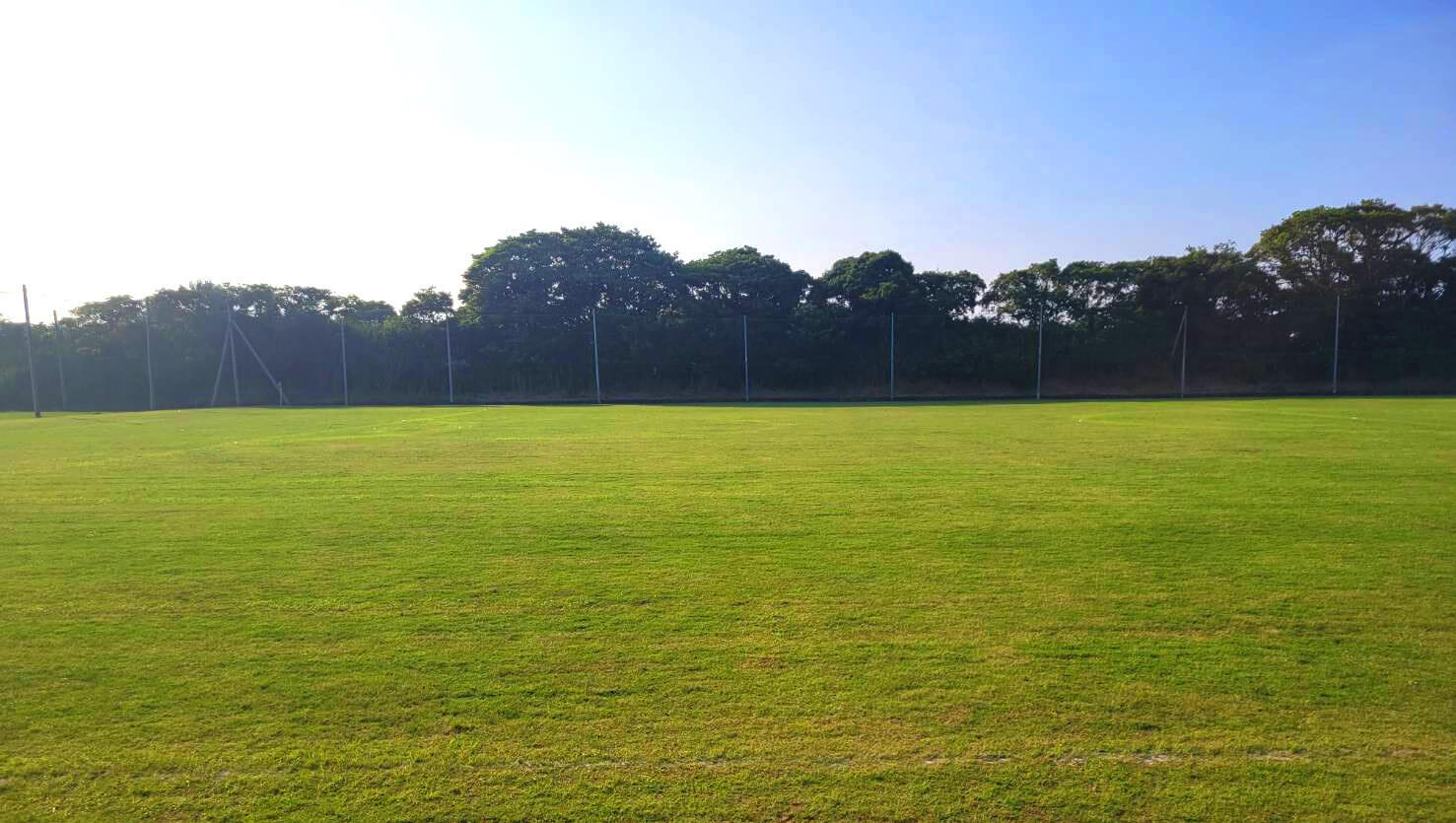 天然芝のサッカーグラウンド